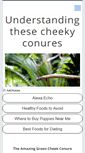 Mobile Screenshot of petgreencheekconure.com